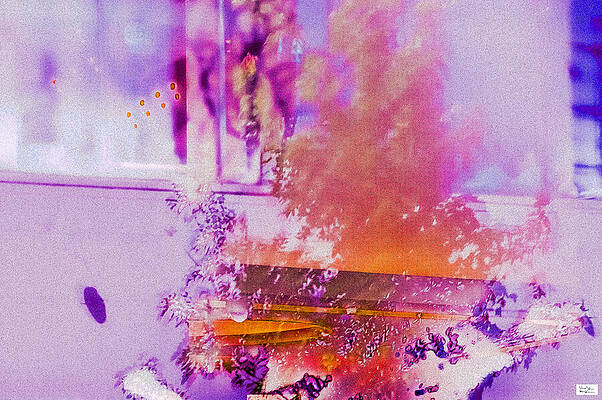 Wall Art featuring the photograph Nash- Not A Mere Image by Alex John Bergerman