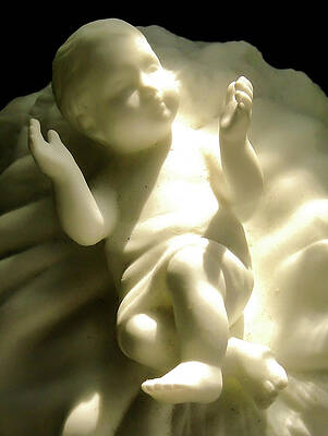 Wall Art featuring the photograph Nativity by John Linnemeyer