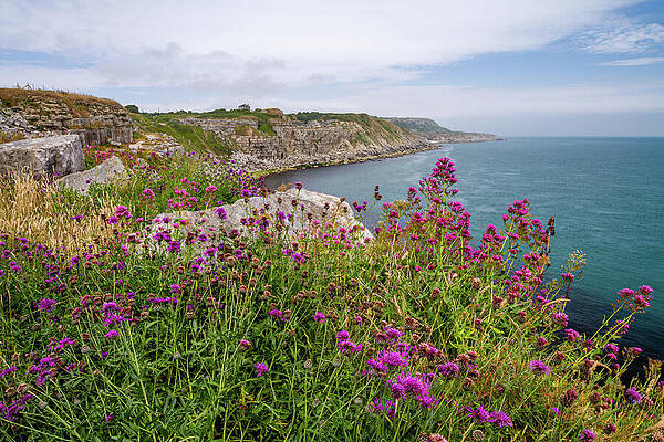 Spring Wall Art featuring the photograph Natural Beauty by Shirley Mitchell