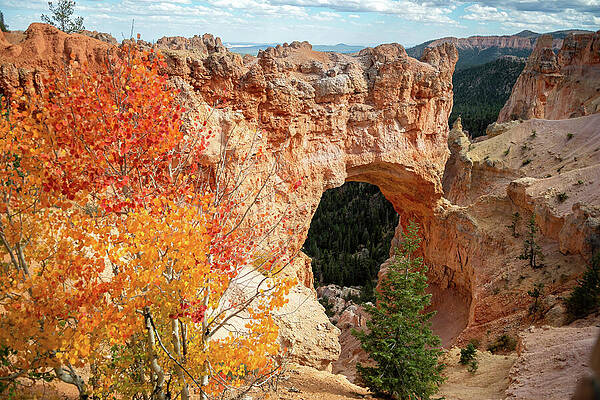 Natural Bridge in Autumn Wall Art