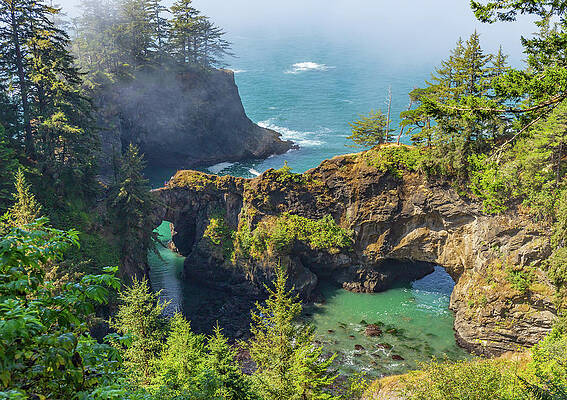 Oregon Wall Art featuring the photograph Natural Bridges by Ed Clark