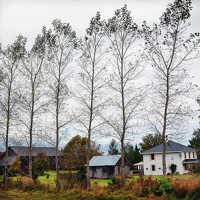 Fall Photograph - Natural Lace by Tatiana Travelways