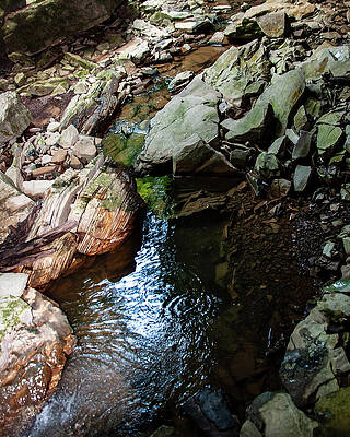 Wall Art featuring the photograph Natural Spring On The Hillside by Flees Photos