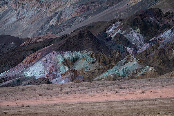 Wall Art featuring the photograph Naturally Inclined by Slow Fuse Photography