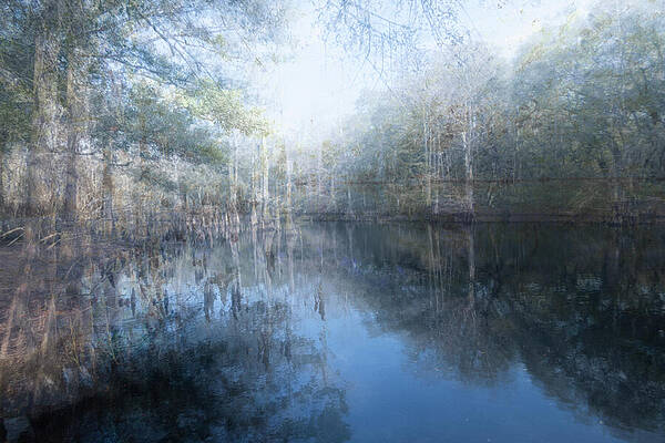 Wall Art featuring the photograph Nature Abstracted 123-1-2-3A by Sally Fuller