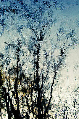 Wall Art featuring the photograph Nature Abstracted 13A by Sally Fuller