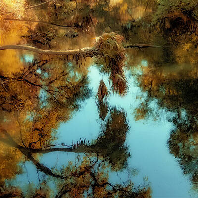 Wall Art featuring the photograph Nature Abstracted 144D by Sally Fuller