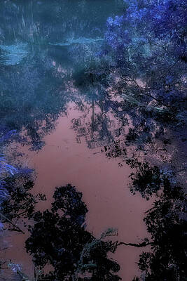 Wall Art featuring the photograph Nature Abstracted 169C by Sally Fuller