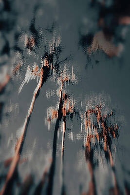 Wall Art featuring the photograph Nature Abstracted 24c by Sally Fuller