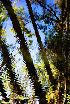 Wall Art featuring the photograph A RIPPLE IN TIME Nature Abstracted 56A by Sally Fuller