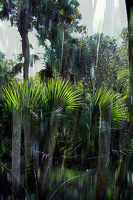 Wall Art featuring the photograph Nature Abstracted 6A by Sally Fuller