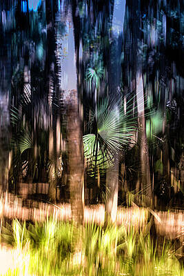 Wall Art featuring the photograph Nature Abstracted 8A by Sally Fuller