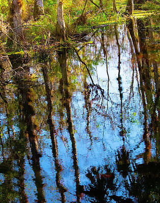 Wall Art featuring the photograph Nature Abstracted 98a by Sally Fuller