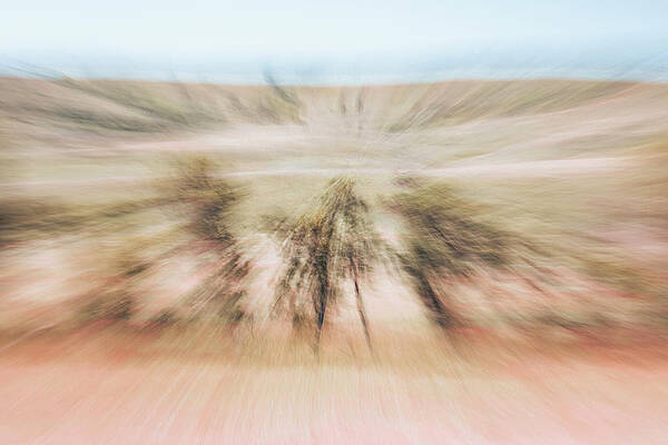 Wall Art featuring the photograph Nature Abstraction 55a by Sally Fuller