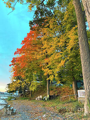 Fall Photograph - Nature Palette by William Norton