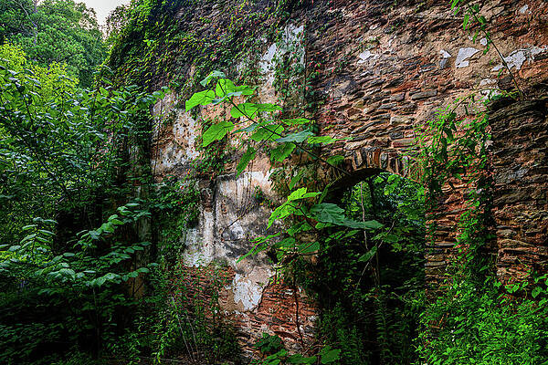Georgia Photograph - Nature Reclaims The Marietta Paper Mill by Anthony Hightower