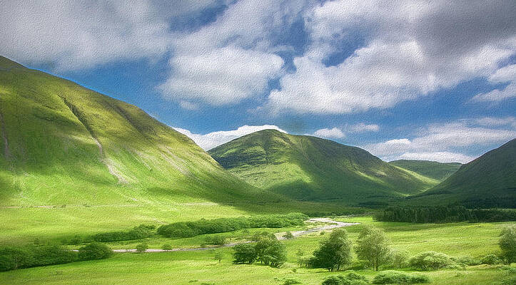 Vibrant Wall Art featuring the photograph Nature Sings Joy, Textured by Marcy Wielfaert