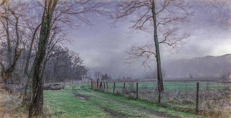 Serene Photograph - Nature Takes Her Rest In Winter by Marcy Wielfaert