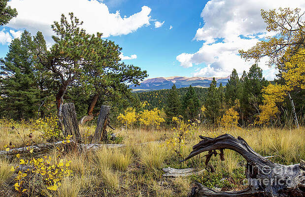 Colorado Wall Art featuring the photograph Nature's Best by Shirley Dutchkowski