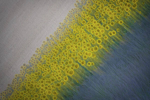 Photograph - Natures Harmony by Charnwood Photography Fine Art