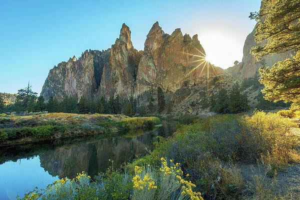 Oregon Photograph - Natures Inspiration by Diane Moller