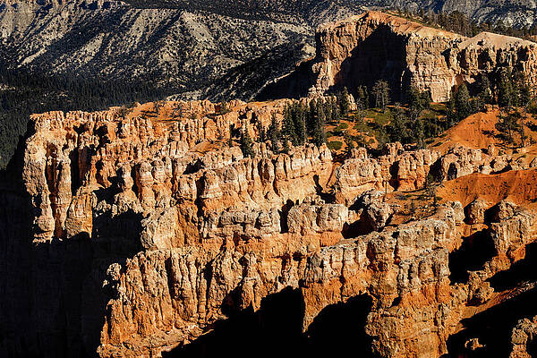 Rock Wall Art featuring the photograph Natures Patterns by Craig A Walker