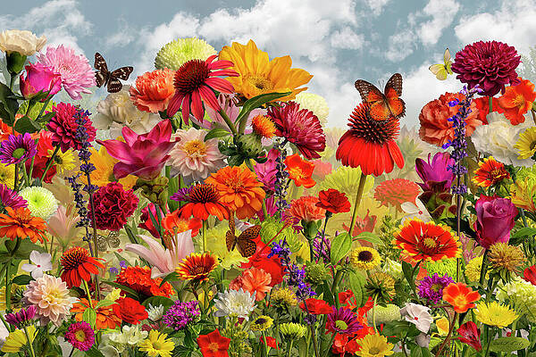 Nature's Splendor by Steven Lutz