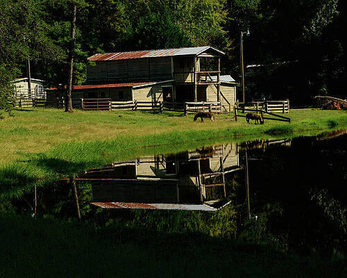 Wall Art featuring the photograph NC Barn Reflection by Flees Photos