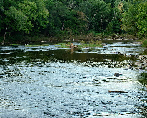 Wall Art featuring the photograph NC Creek 01 by Flees Photos