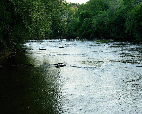 Wall Art featuring the photograph NC Creek 02 by Flees Photos