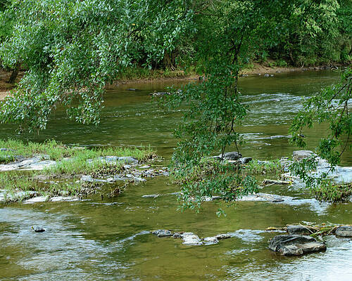 Wall Art featuring the photograph NC Creek 04 by Flees Photos