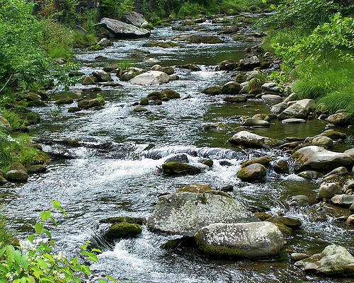 Wall Art featuring the photograph NC Creek 21 by Flees Photos