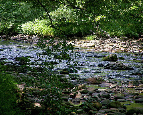 Wall Art featuring the photograph Nc Creek 23 by Flees Photos
