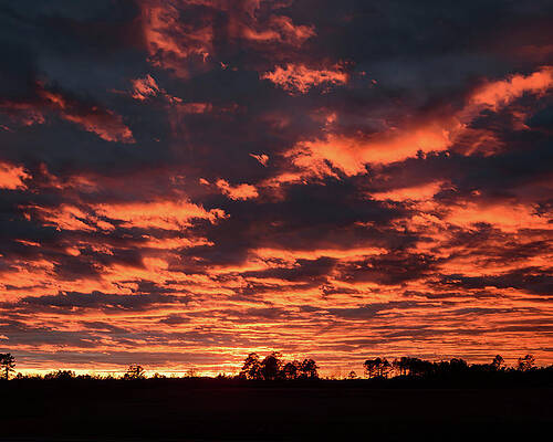 Wall Art featuring the digital art NC Firey Sunset 002 by Flees Photos