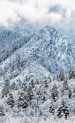 Canyon Photograph - Neffs Canyon And Mount Olympus - Vertical by Abbie Warnock
