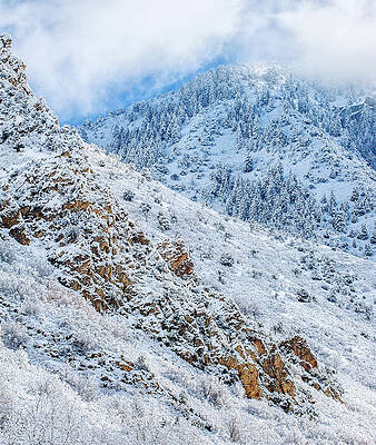 Canyon Photograph - Neffs Canyon Snow 2 - Vertical by Abbie Warnock