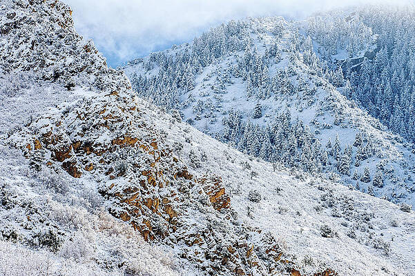 Canyon Photograph - Neffs Canyon Snow by Abbie Warnock