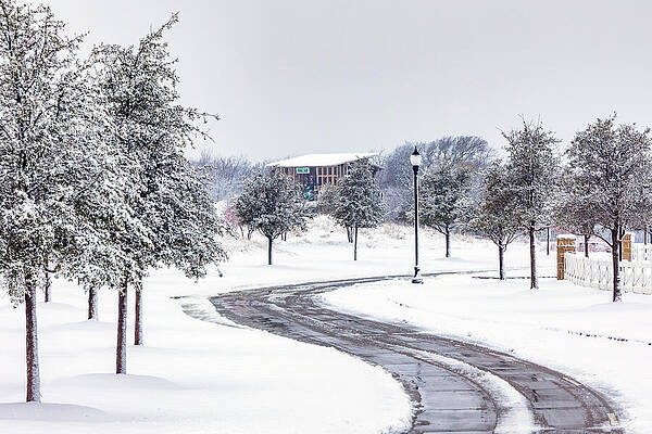 Winter Wall Art featuring the photograph Neighborhood Treehouse by Kelley King
