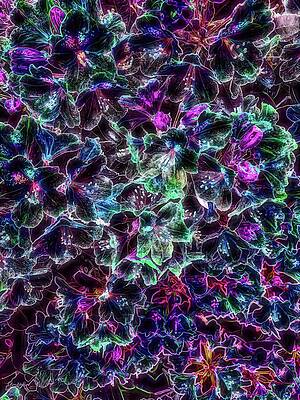 Neon Floral Cascade Digital Art