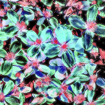 Neon Floral Explosion Wall Art