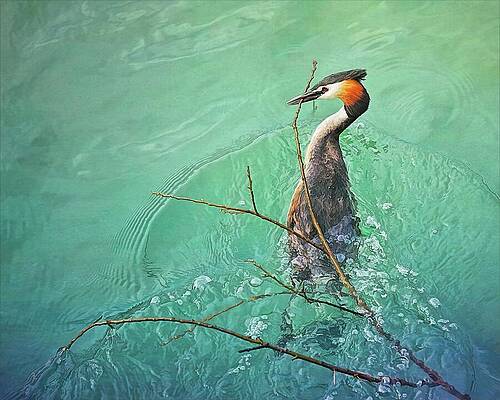 Germany Wall Art featuring the photograph Nesting Time by Tatiana Travelways