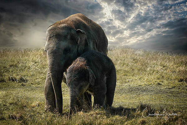 Landscape Photograph - Never Forget by Chris Boulton