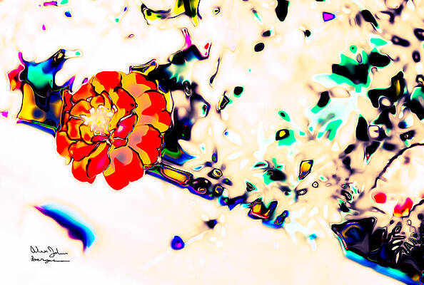 Wall Art featuring the photograph Sask- Never Seen by Alex John Bergerman