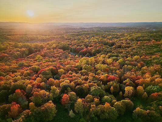 Nature Wall Art featuring the photograph New England Fall Foliage by Dave King