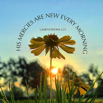 Southern Wall Art featuring the photograph New Every Morning by Greg Lane