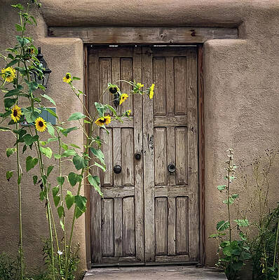 Wall Art featuring the photograph New Mexico Rustic Gate With Sunflowers by Rebecca Herranen