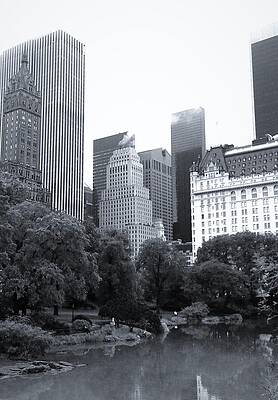 Monochromatic Wall Art featuring the photograph New York- Central Park Pond by Anorel