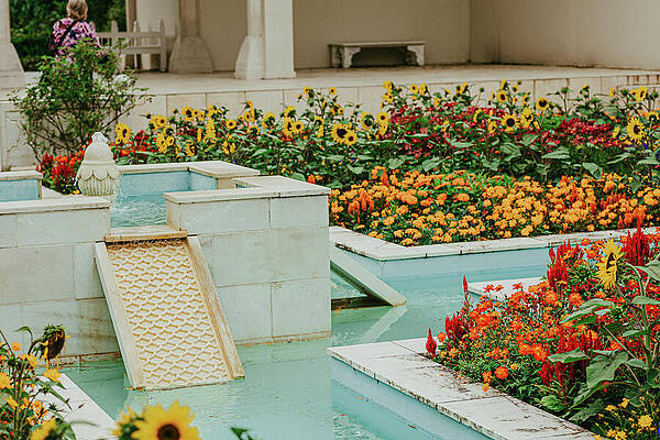 Vibrant Wall Art featuring the photograph New Zealand Garden by Nova Rae