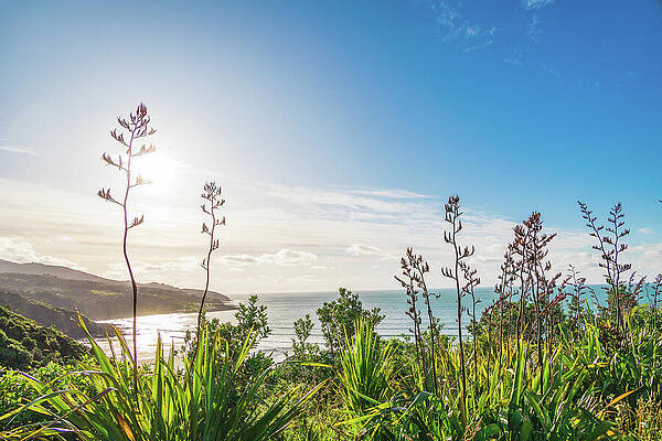 Sky Photograph - New Zealand Vibes by Nova Rae