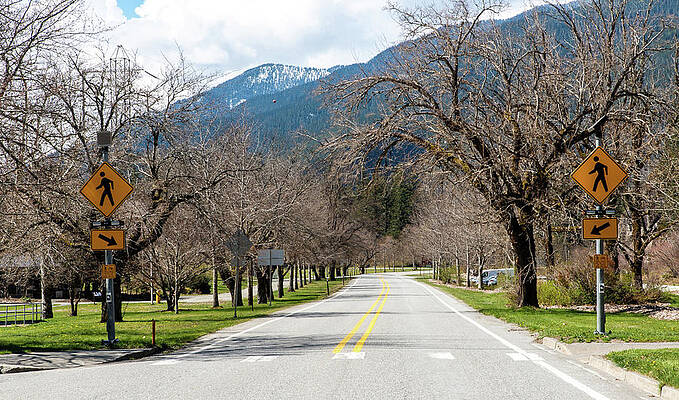State Route 20 Photograph - Newhalem Crosswalk On State Route 20 by Tom Cochran